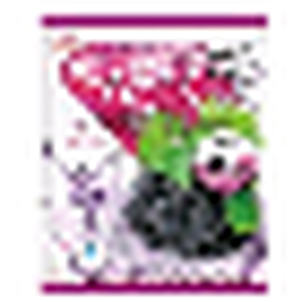 <Grape>6P [KJ] OIZUMI SHIMONITA FRUIT