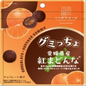 ZENNOH FOODS Ehime Beni Madonna Orange Chocolate Covered Gummy 35G (6PCS)